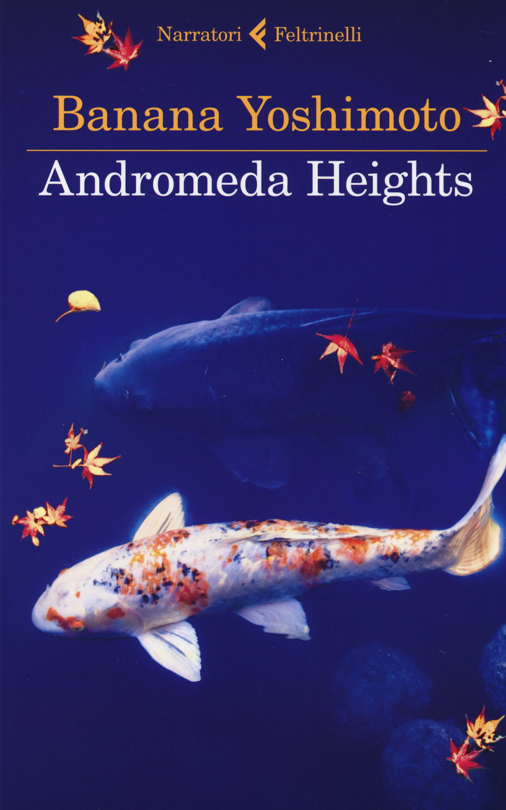 Libro Andromeda Heights. Il Regno I di Banana Yoshimoto - ean 9788807030918 - Feltrinelli