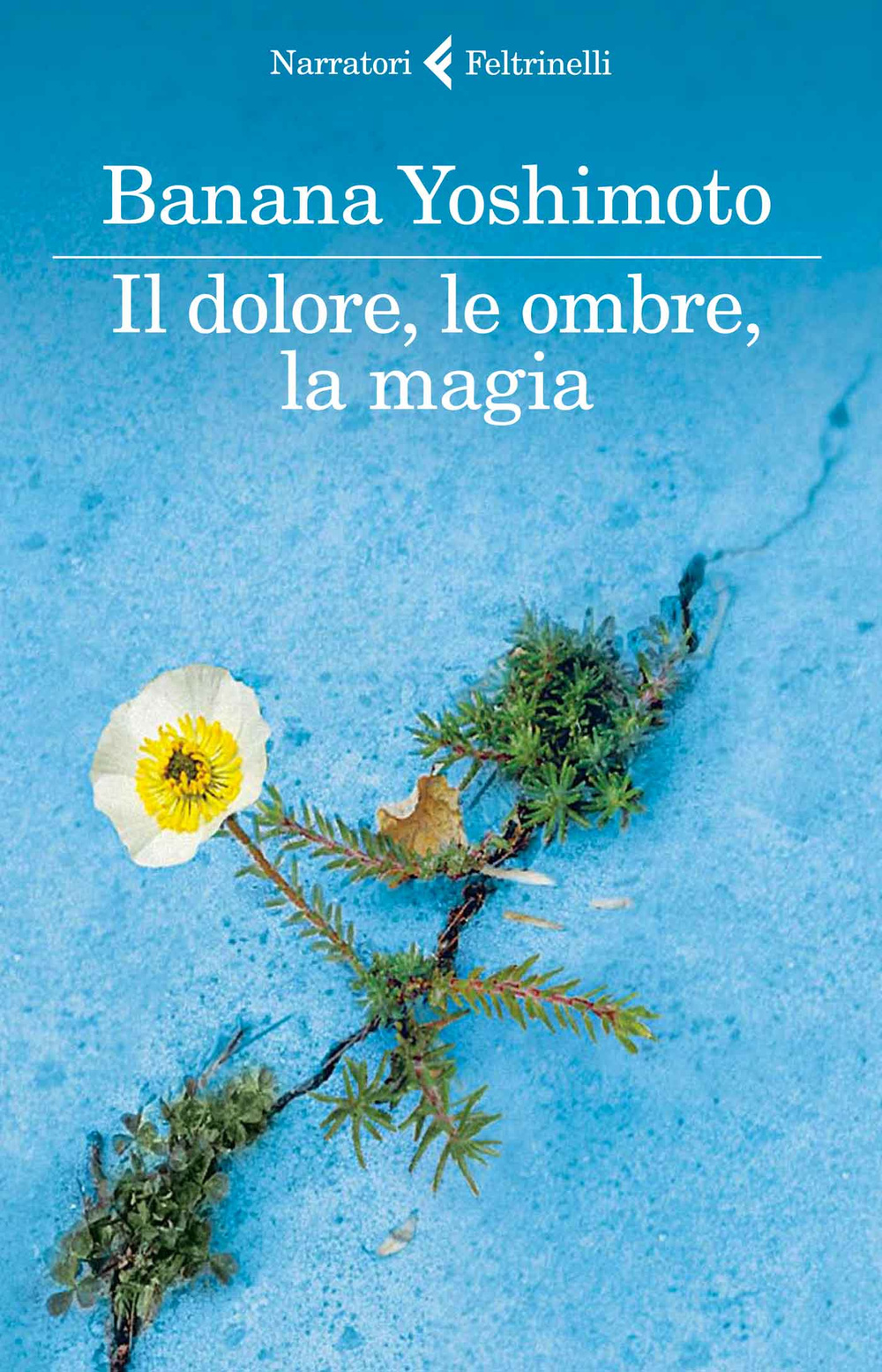 Libro dolore
