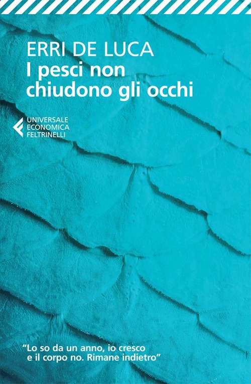 Libro pesci non chiudono gli occhi di Erri De Luca - ean 9788807881886 - Feltrinelli