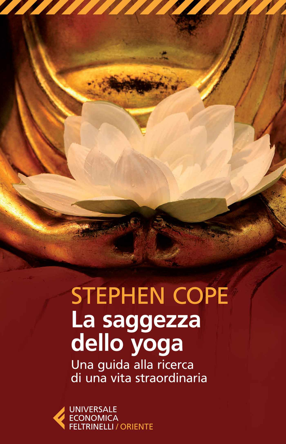 Libro saggezza dello yoga. Una guida alla ricerca di una vita straordinaria di Stephen Cope - ean 9788807884856 - Feltrinelli