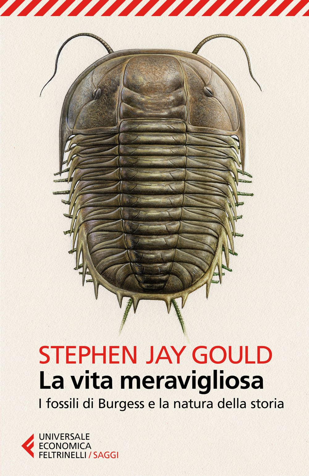 Libro vita meravigliosa. I fossili di Burgess e la natura della storia di Stephen Jay Gould - ean 9788807885969 - Feltrinelli