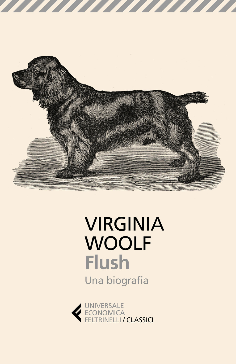 Libro Flush. Una biografia di Virginia Woolf - ean 9788807903830 - Feltrinelli