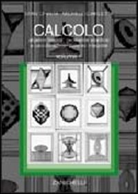 Libro Calcolo di Stan Chirita; Michele Ciarletta - ean 9788808076571 - Zanichelli