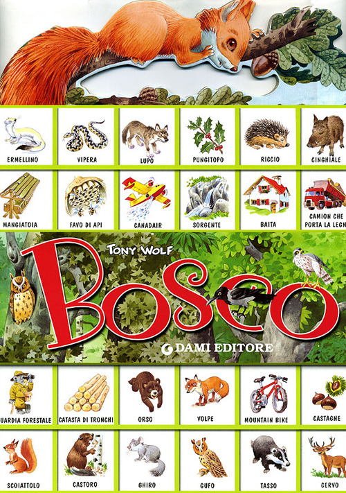 Libro Bosco. Con sticker di Anna Casalis - ean 9788809614307 - Dami Editore
