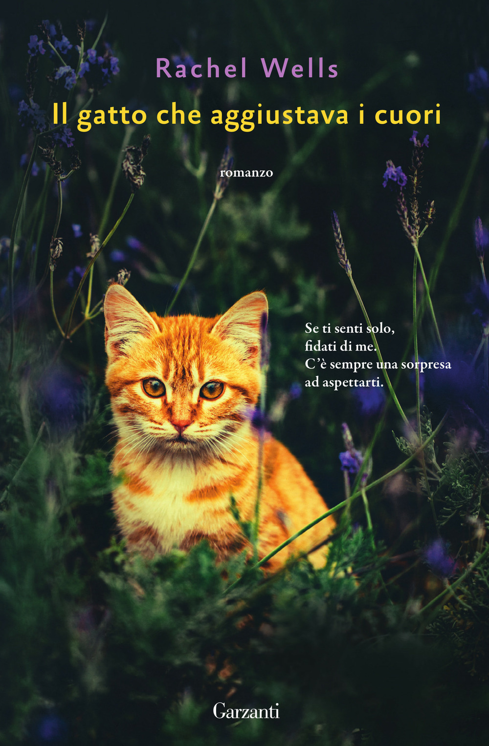 Libro gatto che aggiustava i cuori di Rachel Wells - ean 9788811010098 - Garzanti