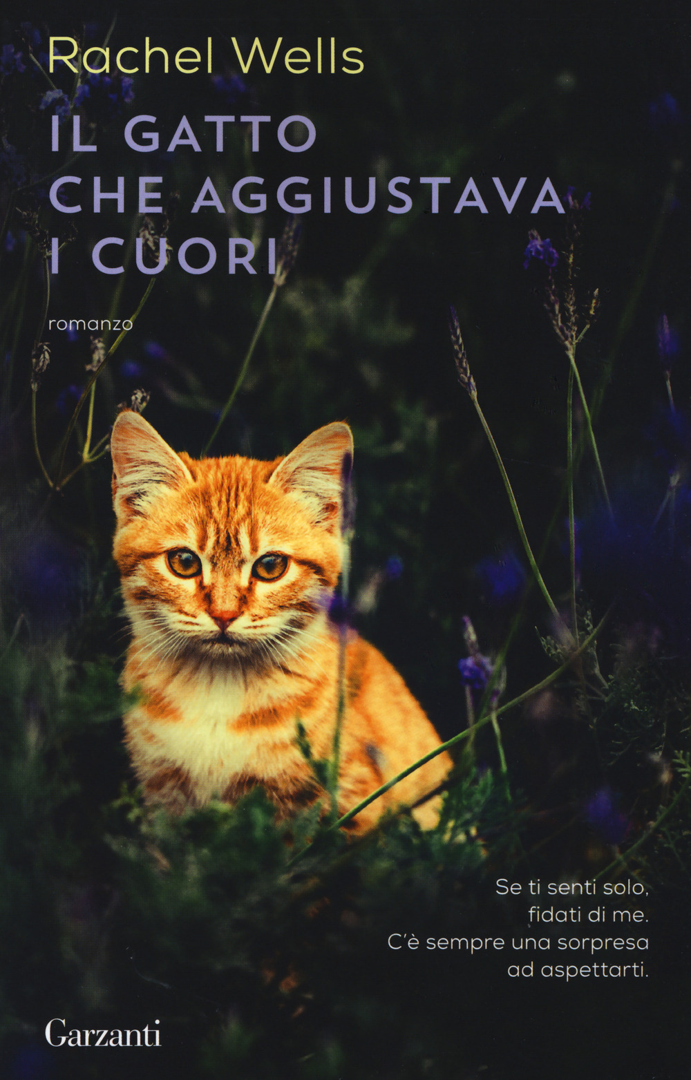 Libro gatto che aggiustava i cuori di Rachel Wells - ean 9788811812784 - Garzanti