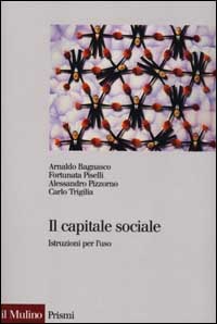 Libro capitale sociale. Istruzione per l'uso di  - ean 9788815082428 - Il Mulino