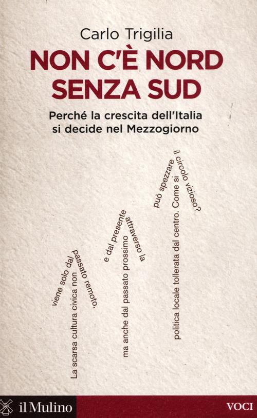 Libro Non c'è Nord senza Sud. Perché la crescita dell'Italia si decide nel Mezzogiorno di Carlo Trigilia - ean 9788815238405 - Il Mulino
