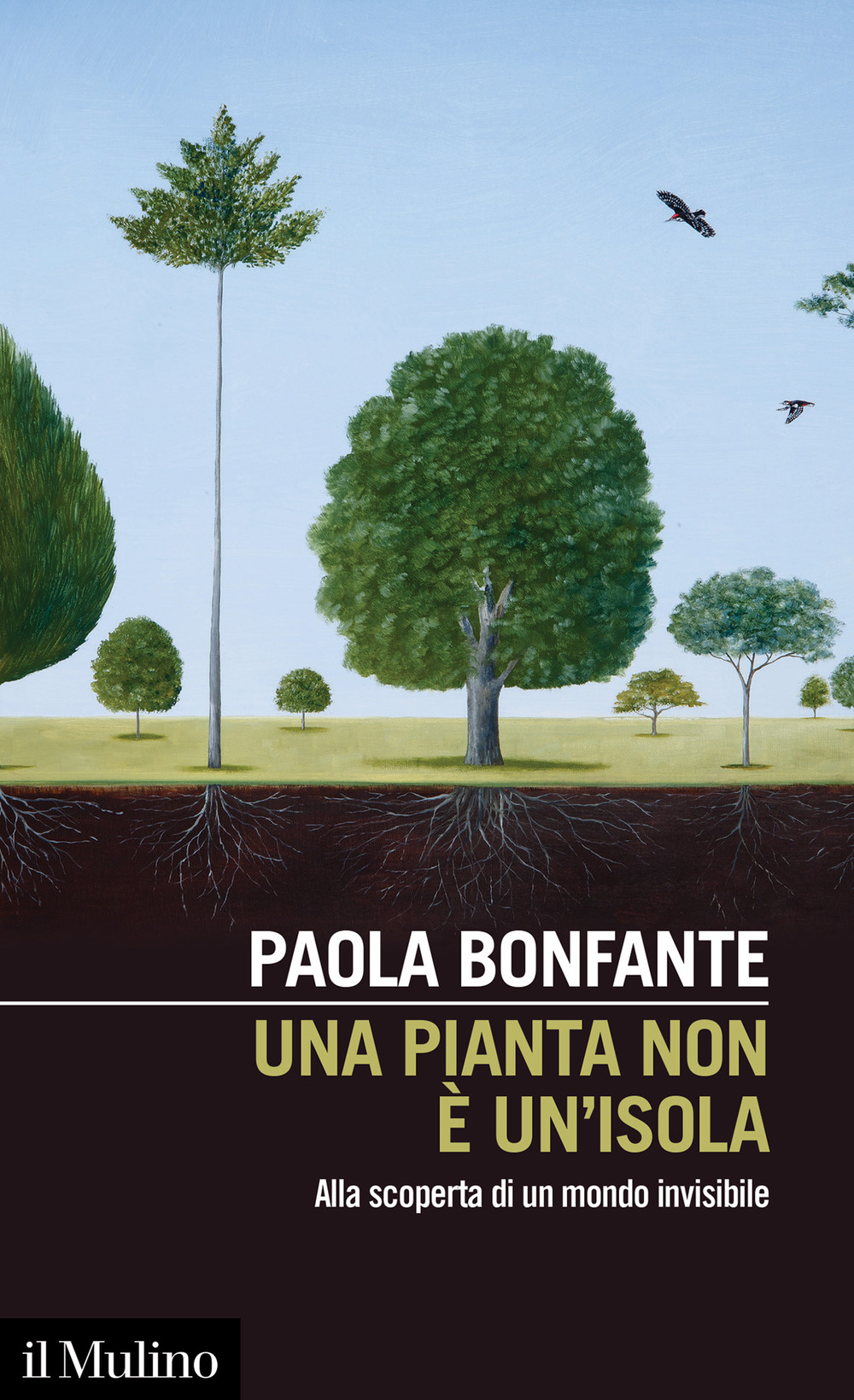 Libro pianta non è un'isola. Alla scoperta di un mondo invisibile di Paola Bonfante - ean 9788815294173 - Il Mulino
