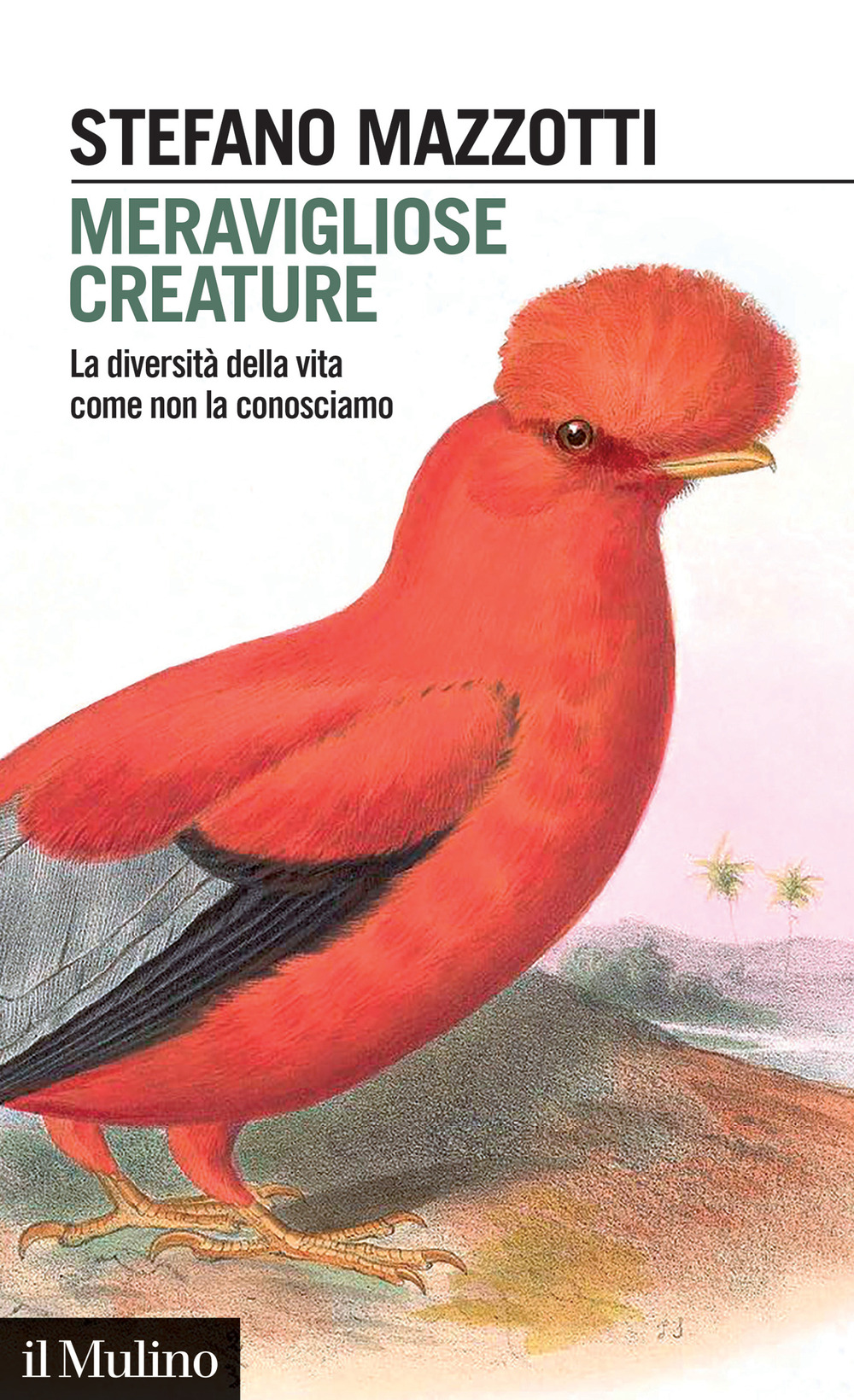 Libro Meravigliose creature. La diversità della vita come non la conosciamo di Stefano Mazzotti - ean 9788815388025 - Il Mulino