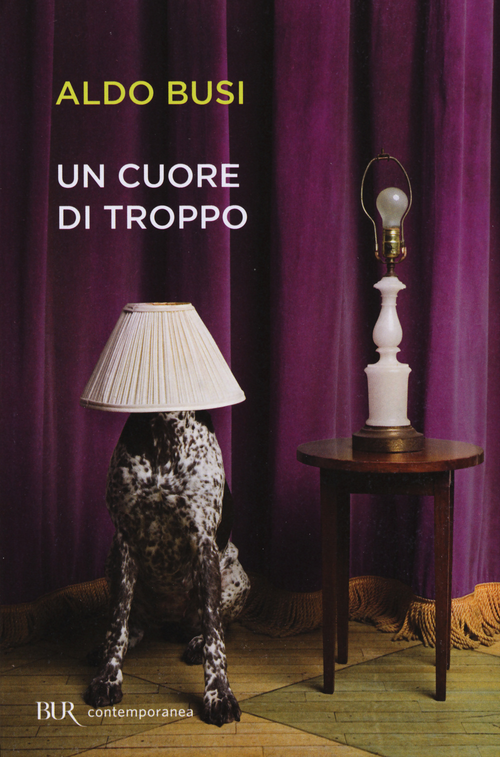 Libro cuore di troppo di Aldo Busi - ean 9788817081467 - Rizzoli