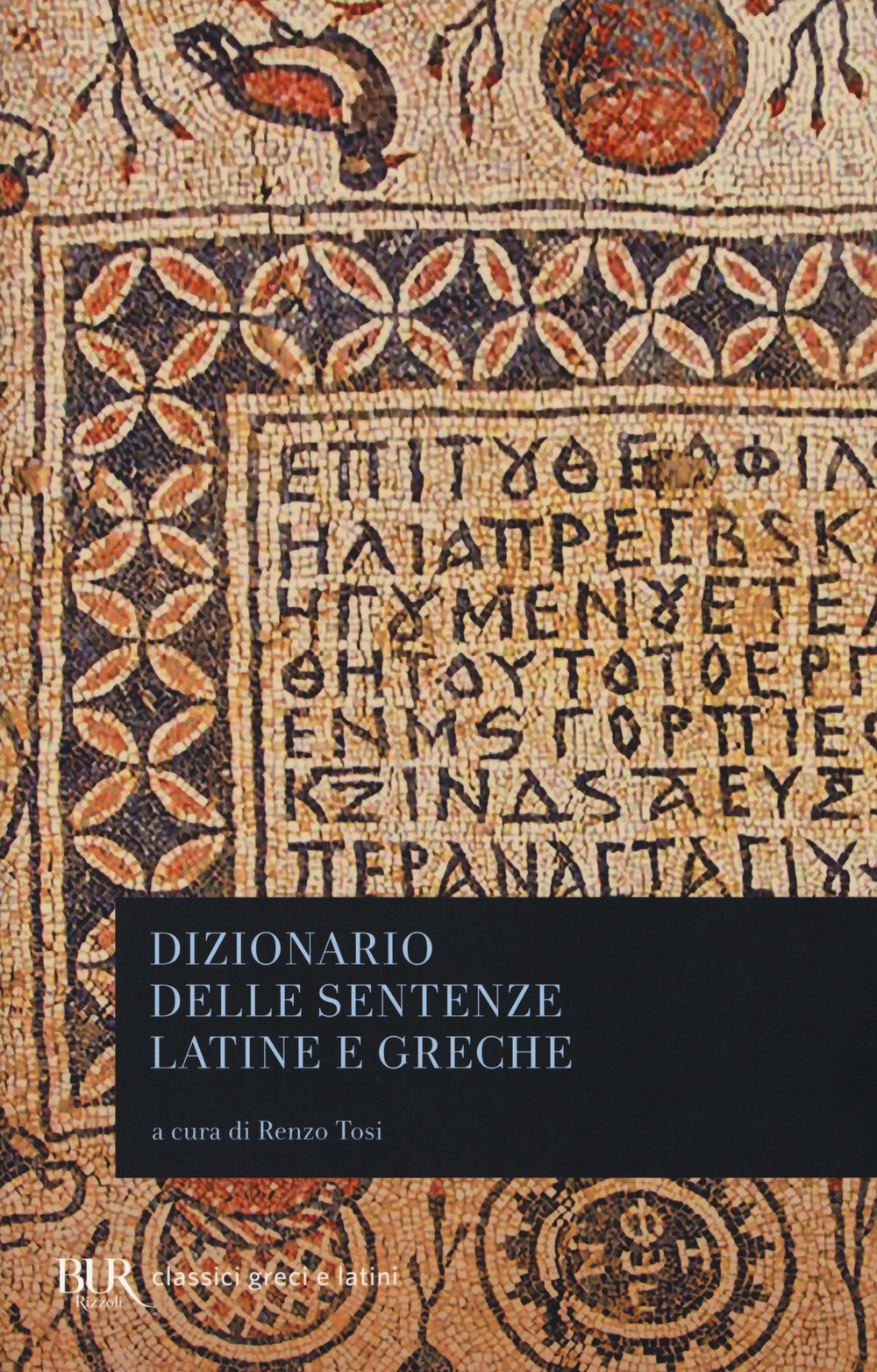 Libro Dizionario delle sentenze latine e greche di  - ean 9788817095037 - Rizzoli