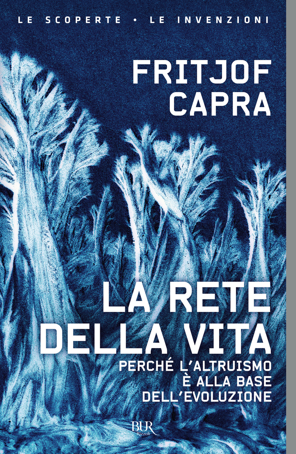 Libro rete della vita. Perché l'altruismo è alla base dell'evoluzione di Fritjof Capra - ean 9788817126809 - Rizzoli