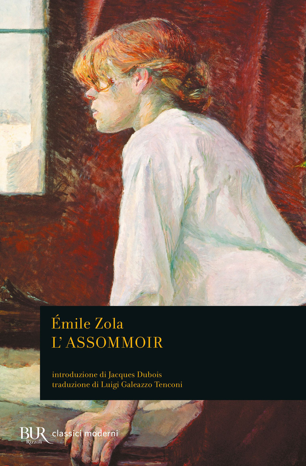 Libro assommoir di Émile Zola - ean 9788817168304 - Rizzoli