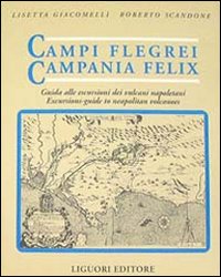 Libro Campi Flegrei. Campania Felix. Il golfo di Napoli tra storia ed eruzioni. Guida alle escursioni dei vulcani napoletani di Lisetta Giacomelli; Roberto Scandone - ean 9788820720889 - Liguori