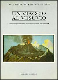 Libro viaggio al Vesuvio. Il Vesuvio visto attraverso diari
