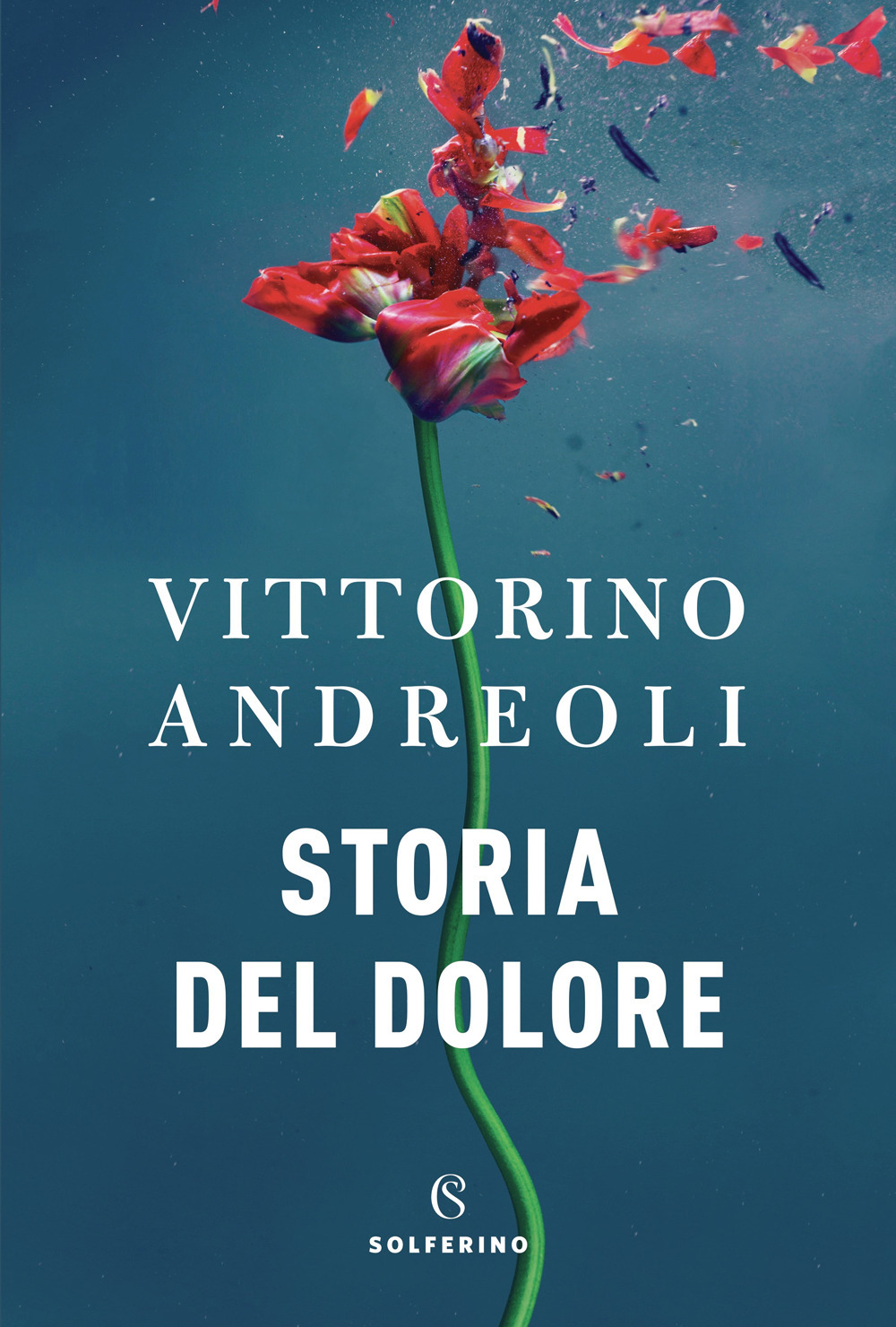 Libro Storia del dolore di Vittorino Andreoli - ean 9788828208433 - Solferino