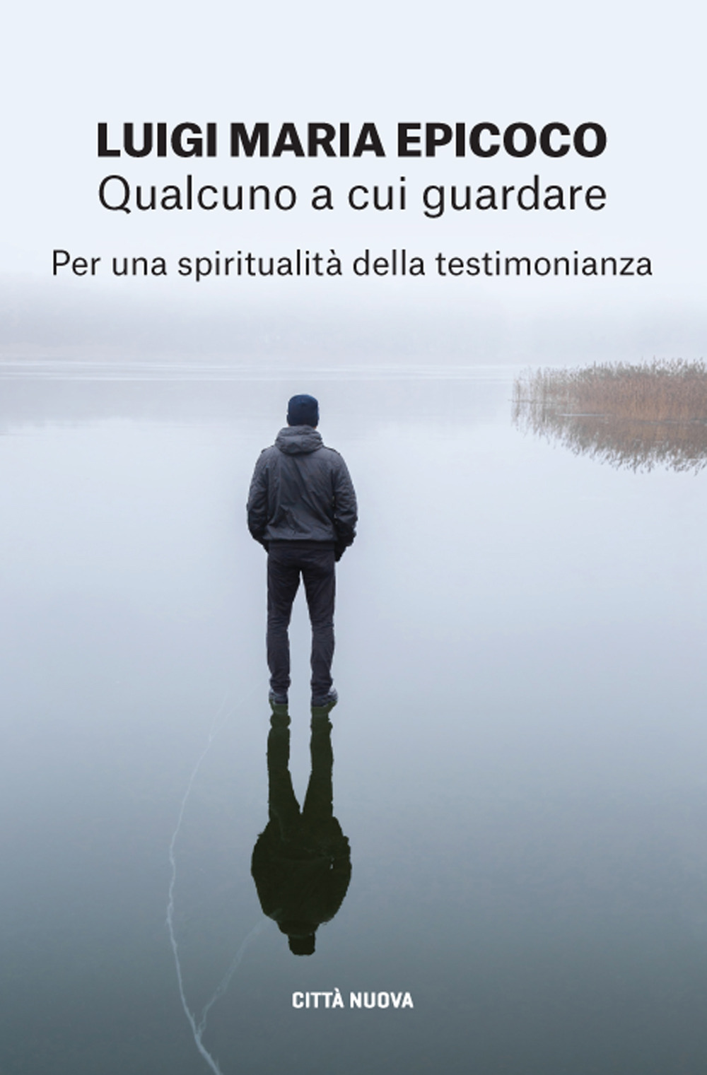 Libro Qualcuno a cui guardare. Per una spiritualità della testimonianza di Luigi Maria Epicoco - ean 9788831175487 - Città Nuova