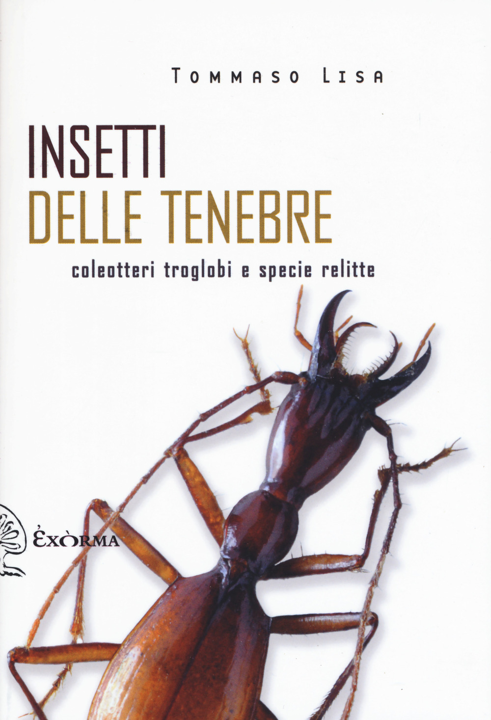 Libro Insetti delle tenebre. Coleotteri troglobi e specie relitte di Tommaso Lisa - ean 9788831461351 - Exòrma