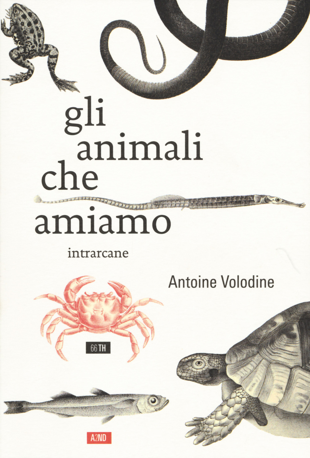 Libro animali che amiamo di Antoine Volodine - ean 9788832970012 - 66thand2nd