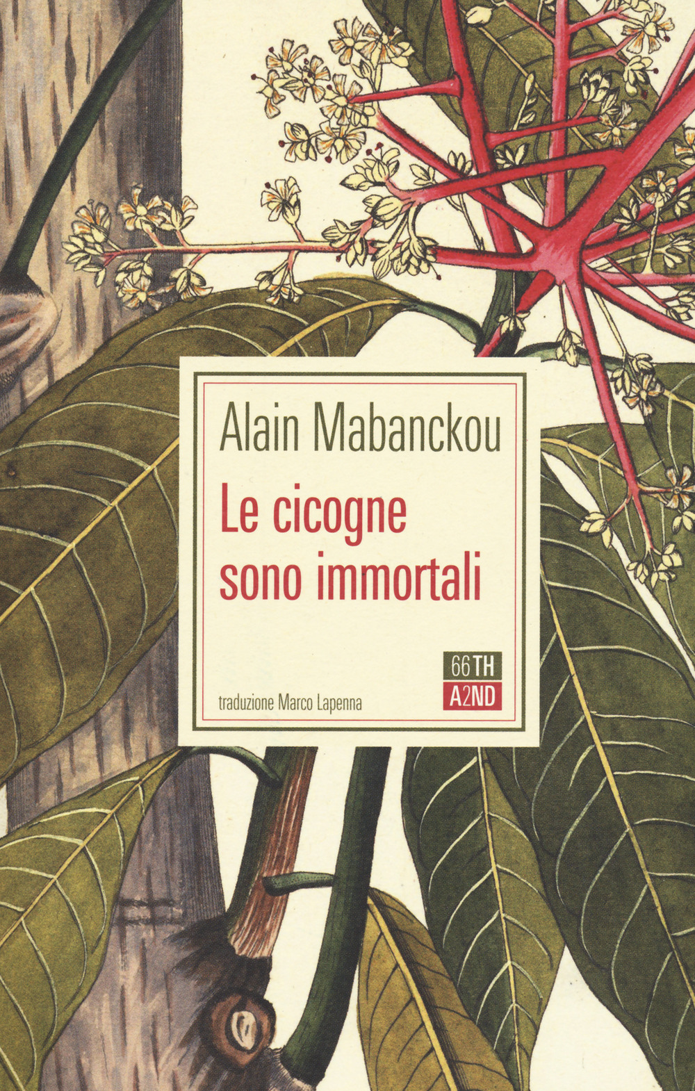 Libro cicogne sono immortali di Alain Mabanckou - ean 9788832971064 - 66thand2nd