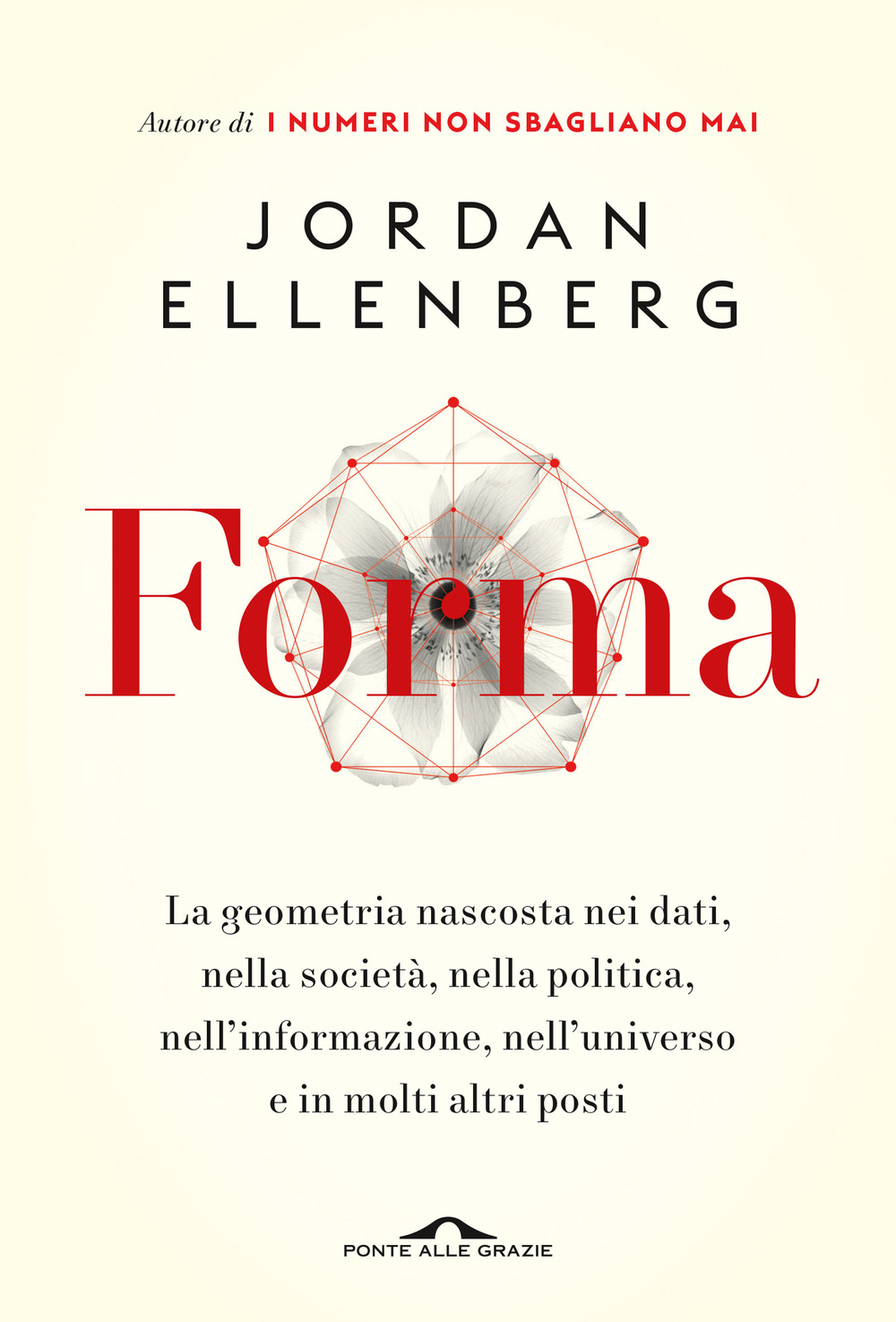 Libro Forma. La geometria nascosta nei dati