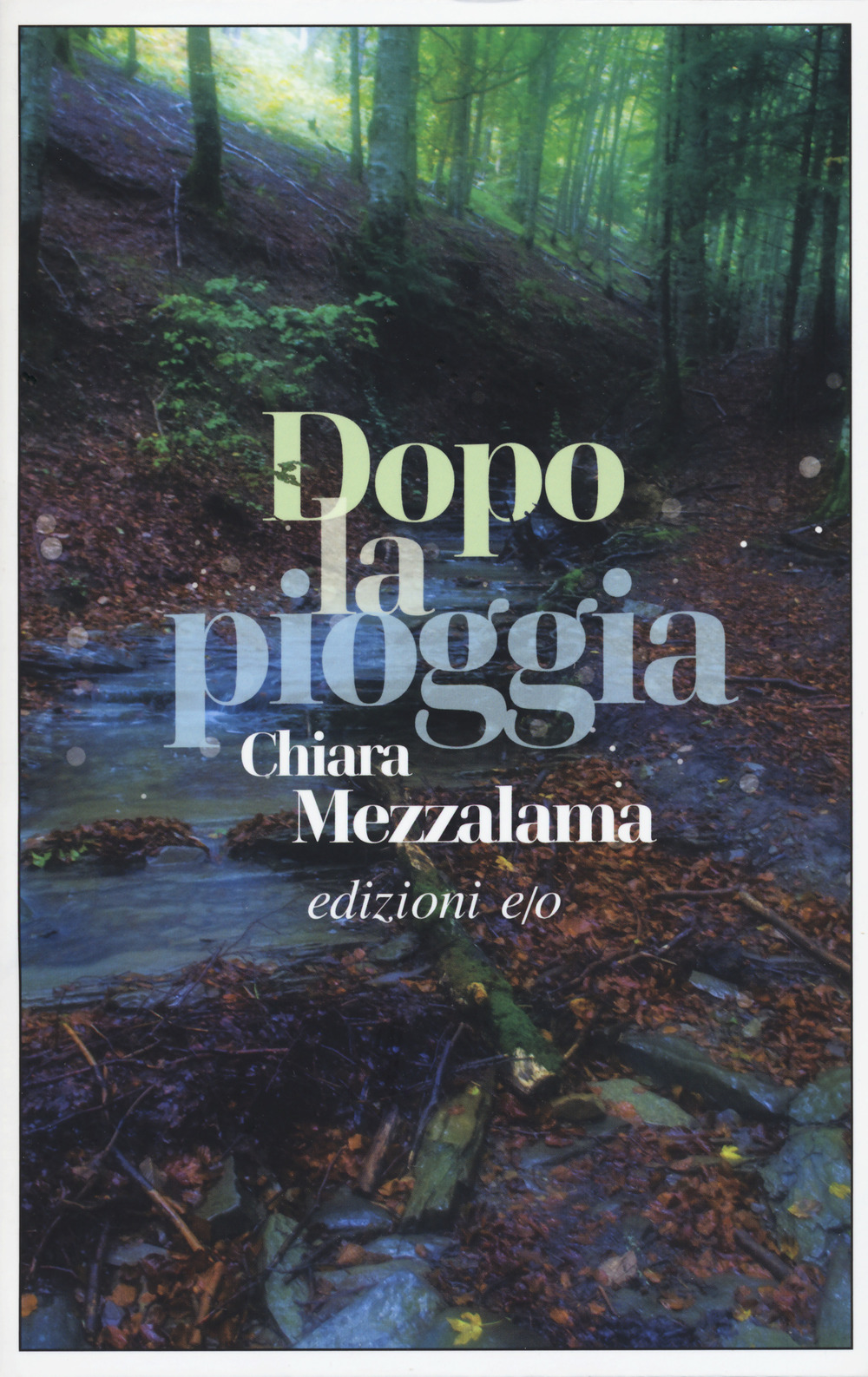 Libro Dopo la pioggia di Chiara Mezzalama - ean 9788833572253 - E/O