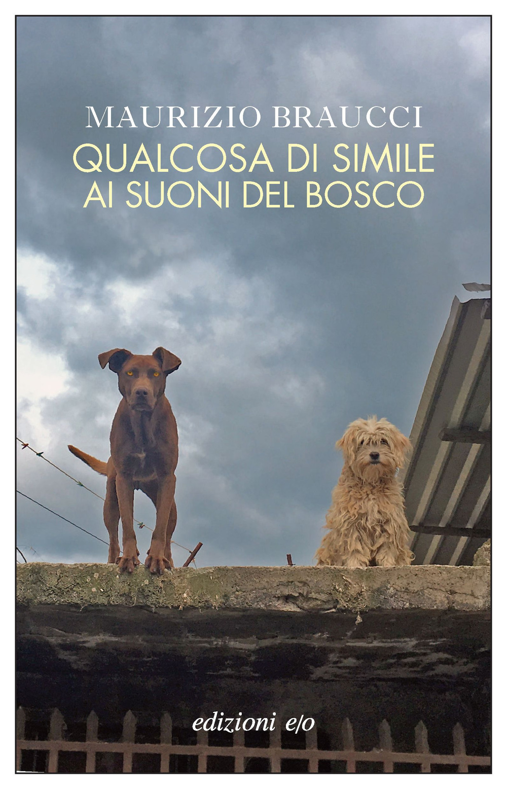 Libro Qualcosa di simile ai suoni del bosco di Maurizio Braucci - ean 9788833576770 - E/O