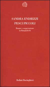 Libro Pesci piccoli. Donne e cooperazione in Bangladesh di Sandra Endrizzi - ean 9788833913872 - Bollati Boringhieri