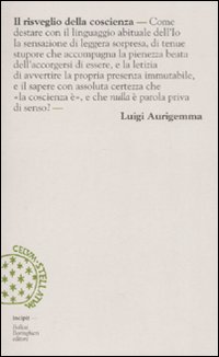 Libro risveglio della coscienza. Balbettii metafisici di Luigi Aurigemma - ean 9788833919140 - Bollati Boringhieri