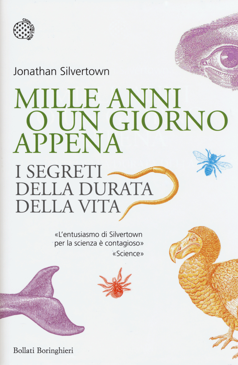 Libro Mille anni o un giorno appena. I segreti della durata della vita di Jonathan Silvertown - ean 9788833925752 - Bollati Boringhieri