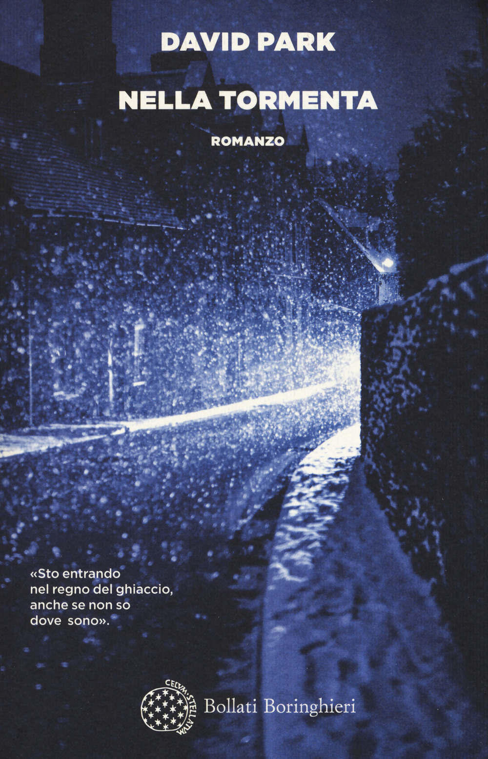 Libro Nella tormenta di David Park - ean 9788833931982 - Bollati Boringhieri