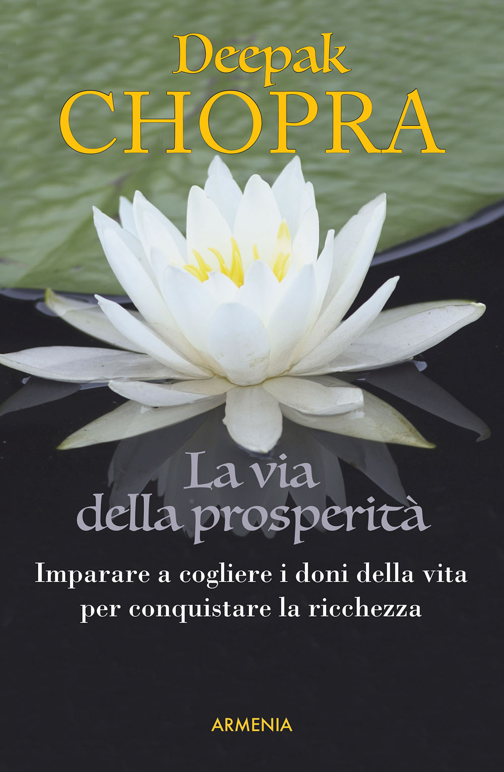 Libro via della prosperità. Come imparare a cogliere i doni della vita e conquistare la ricchezza di Deepak Chopra - ean 9788834410219 - Armenia
