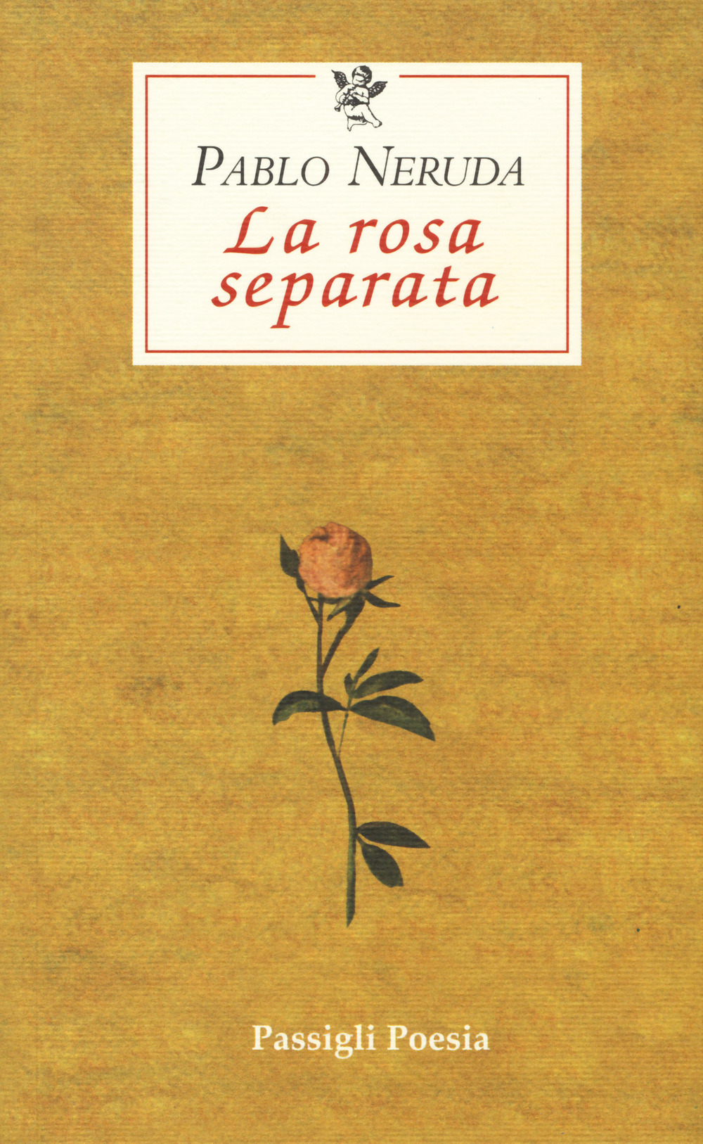 Libro rosa separata. Testo spagnolo a fronte di Pablo Neruda - ean 9788836806430 - Passigli