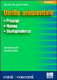 Libro Diritto ambientale di Claudia Pasqualini Salsa - ean 9788838730030 - Maggioli Editore