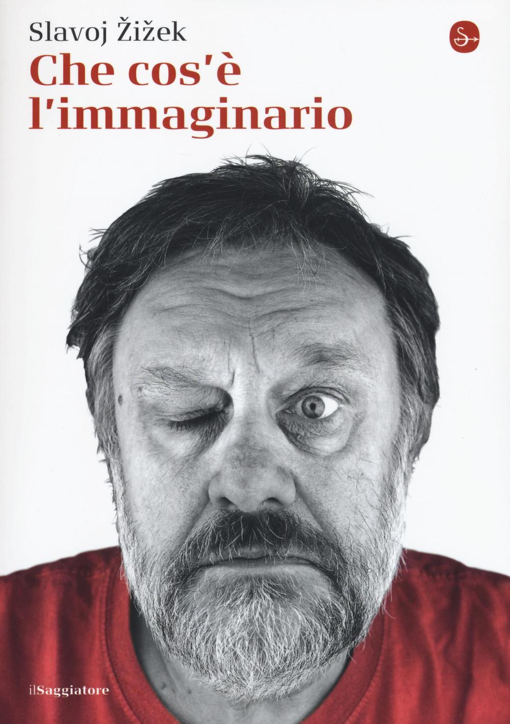 Libro Che cos'è l'immaginario di Slavoj Žižek - ean 9788842822387 - Il Saggiatore