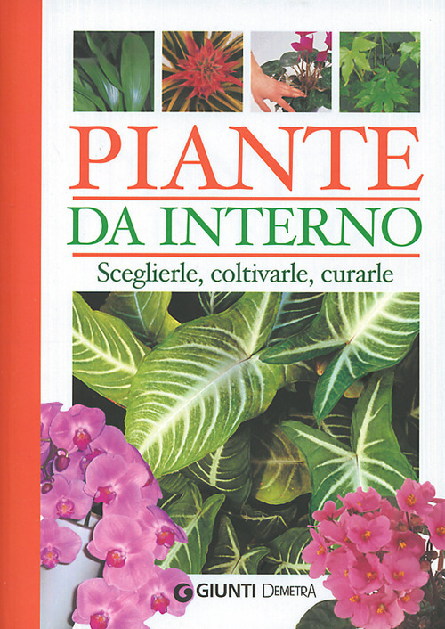 Libro Piante da interno. Sceglierle