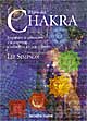 Libro libro dei chakra di Liz Simpson - ean 9788848108508 - Tecniche Nuove