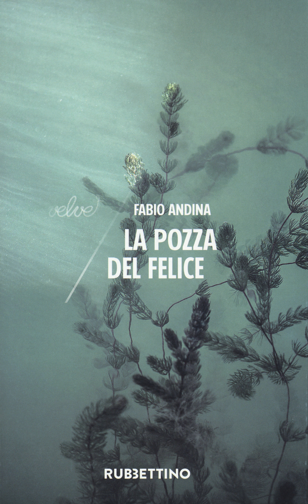 Libro pozza del felice di Fabio Andina - ean 9788849856002 - Rubbettino