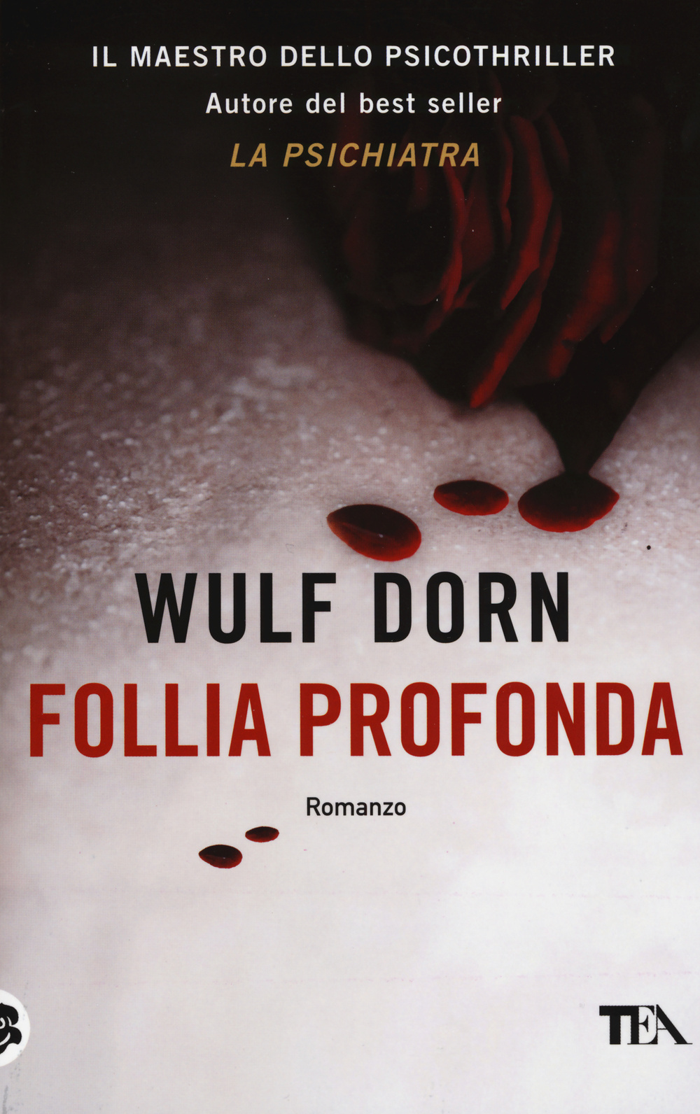 Libro Follia profonda di Wulf Dorn - ean 9788850240326 - TEA