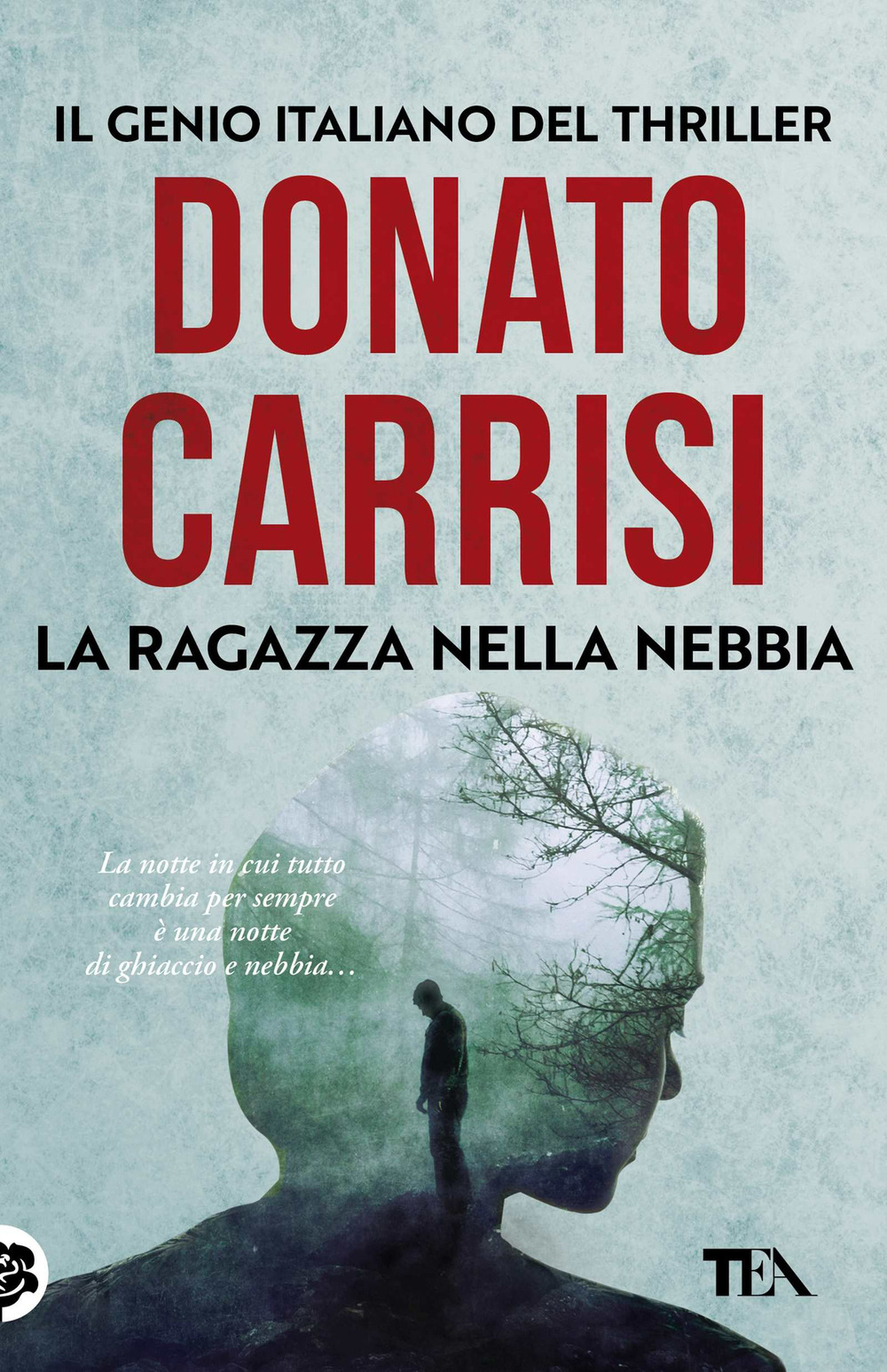 Libro ragazza nella nebbia di Donato Carrisi - ean 9788850253821 - TEA