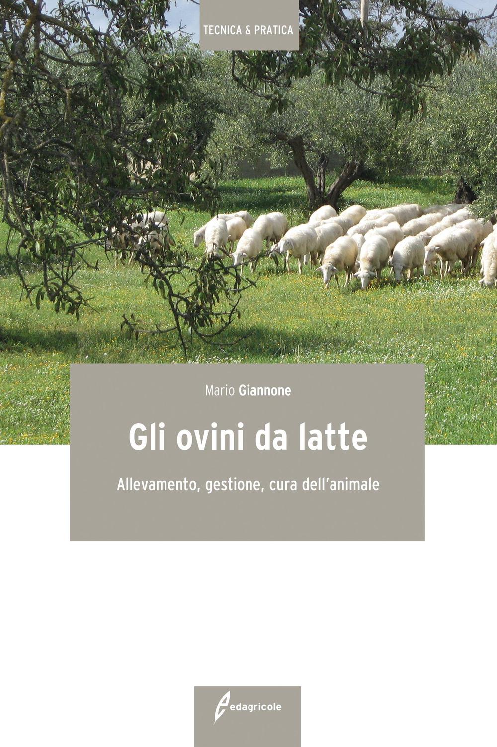 Libro ovini da latte. Allevamento