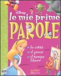 Libro citta