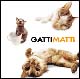 Libro Gatti matti di  - ean 9788854005259 - White Star