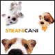 Libro Strani cani di  - ean 9788854005266 - White Star