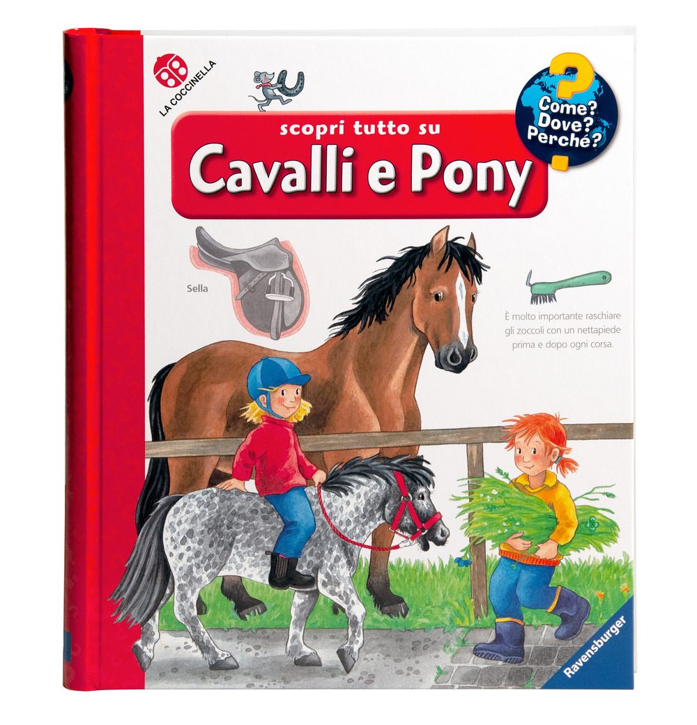 Libro Scopri tutto su cavalli e pony! di Andrea Erne - ean 9788855062213 - La Coccinella