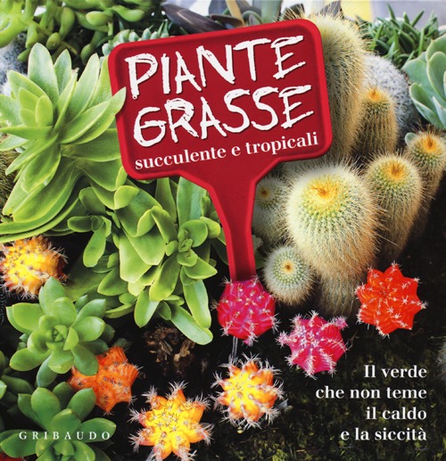 Libro Piante grasse succulente e subtropicali. Il verde che non teme il caldo e la siccità di Lorena Lombroso; Simona Pareschi - ean 9788858008812 - Gribaudo