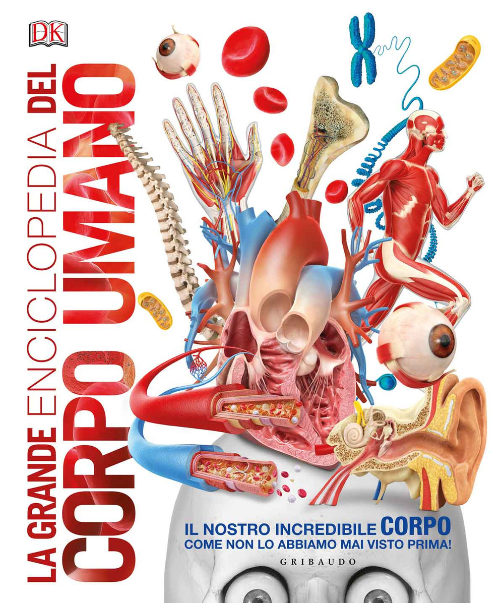 Libro grande enciclopedia del corpo umano di  - ean 9788858018460 - Gribaudo