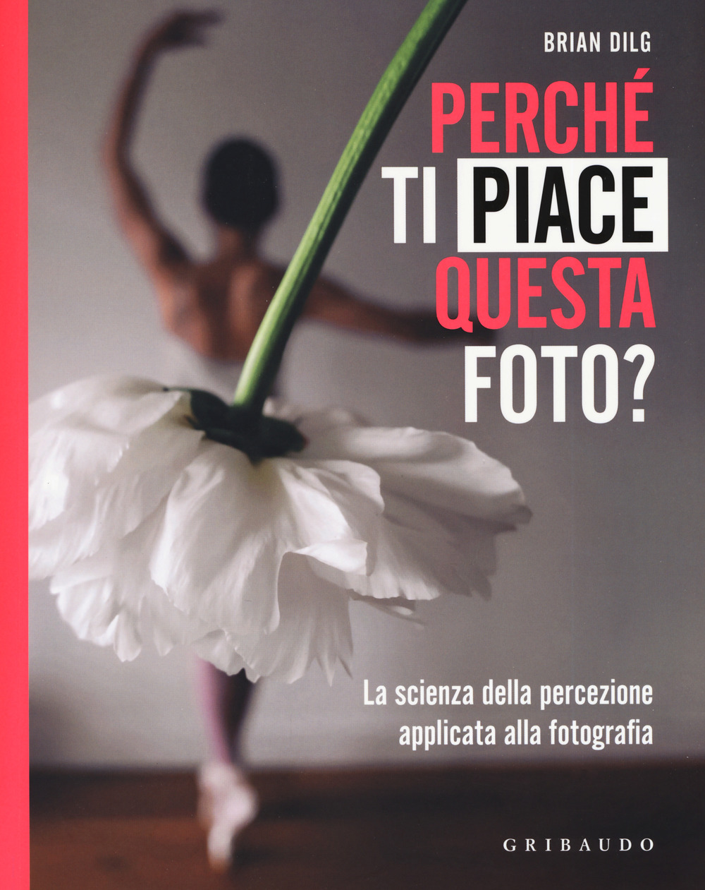 Libro Perché ti piace questa foto? La scienza della percezione applicata alla fotografia di Brian Dilg - ean 9788858024072 - Gribaudo