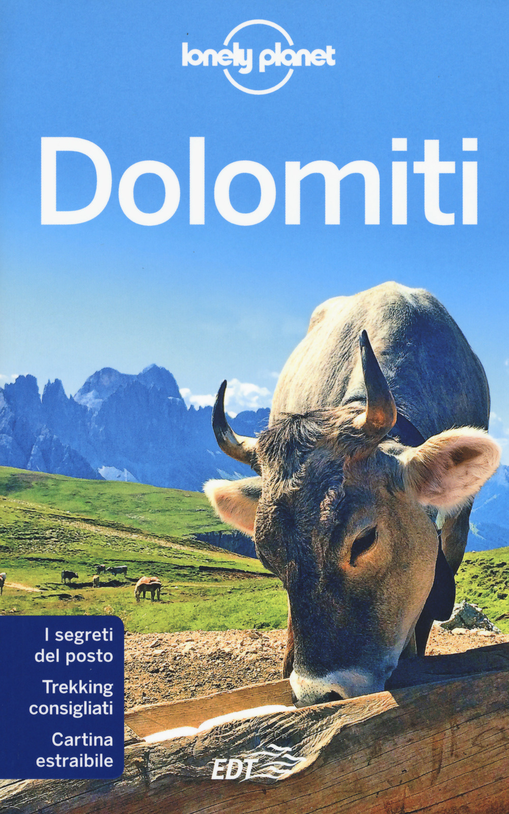 Libro Dolomiti di Giacomo Bassi; Denis Falconieri; Piero Pasini - ean 9788859239529 - Lonely Planet Italia